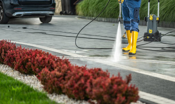 Best Local Pressure Washing Services  in Mammoth, AZ