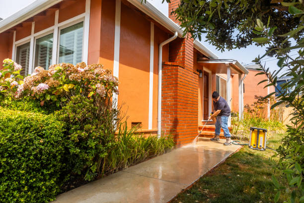 Best Pressure Washing Company Near Me  in Mammoth, AZ