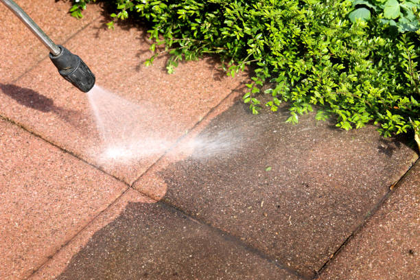 Best House Pressure Washing  in Mammoth, AZ